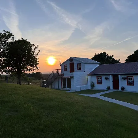 Tiernan's Luxury * チャールスタウン